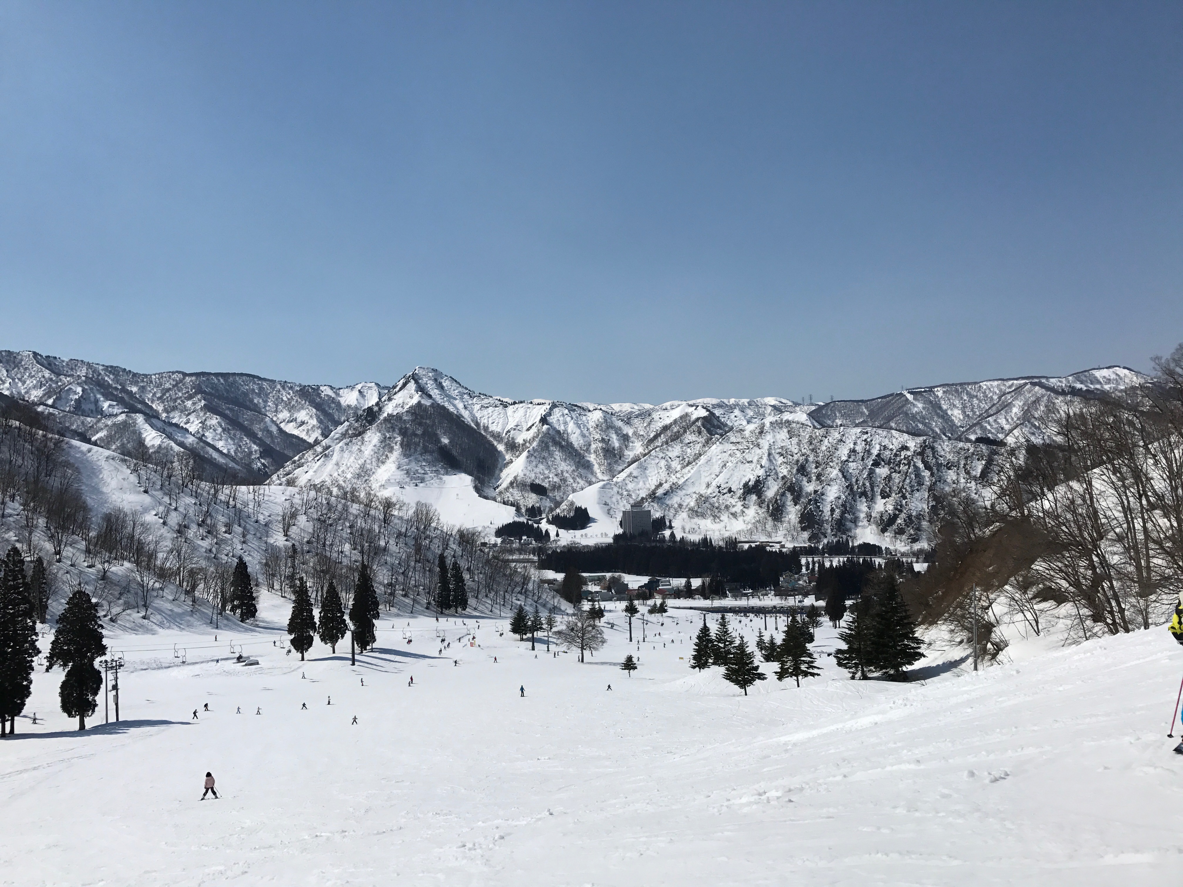 【子連れにおすすめ】エンゼルグランディア越後中里へスキーしに行きました！